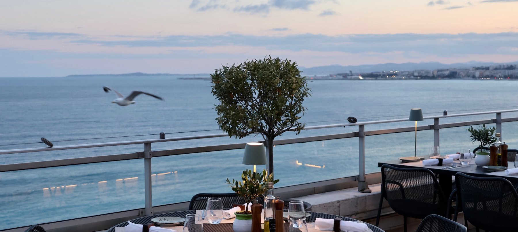 New mediterranean restaurant in Nice, Elaio